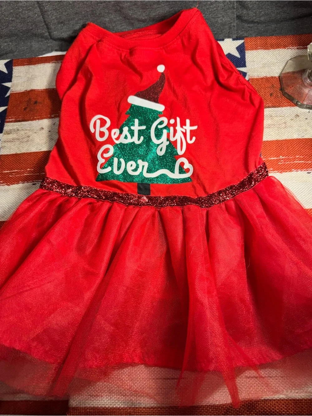 Red 'Best Gift Ever' Dog Holiday Tutu Dress